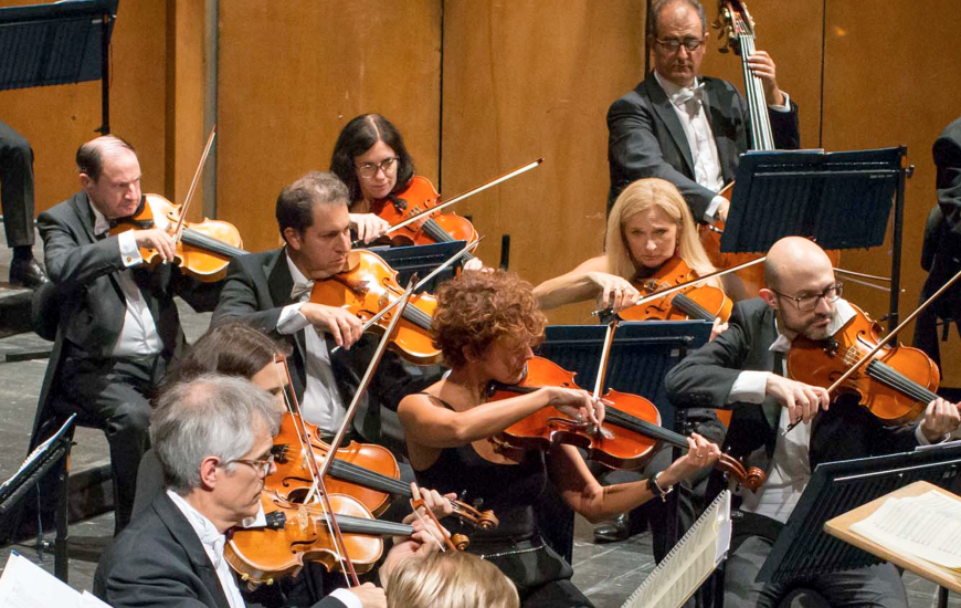 Haydn Orchestra